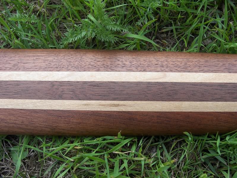 PeaveyCirrus6Fretless012.jpg