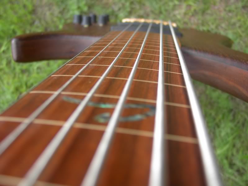 PeaveyCirrus6Fretless014.jpg