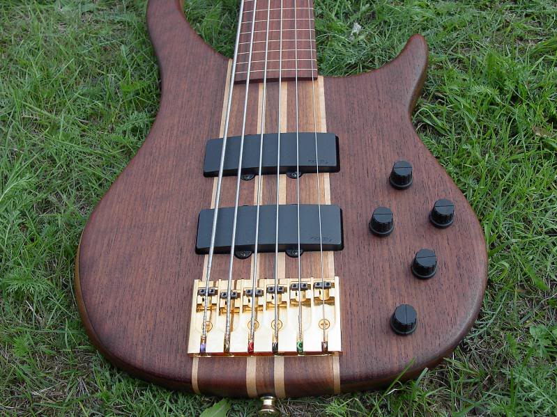 PeaveyCirrus6Fretless016.jpg