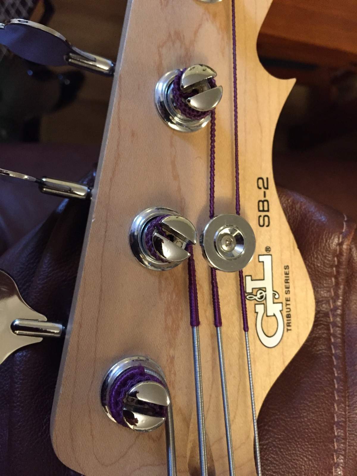 PeaveyCirrus6String - 3.jpg