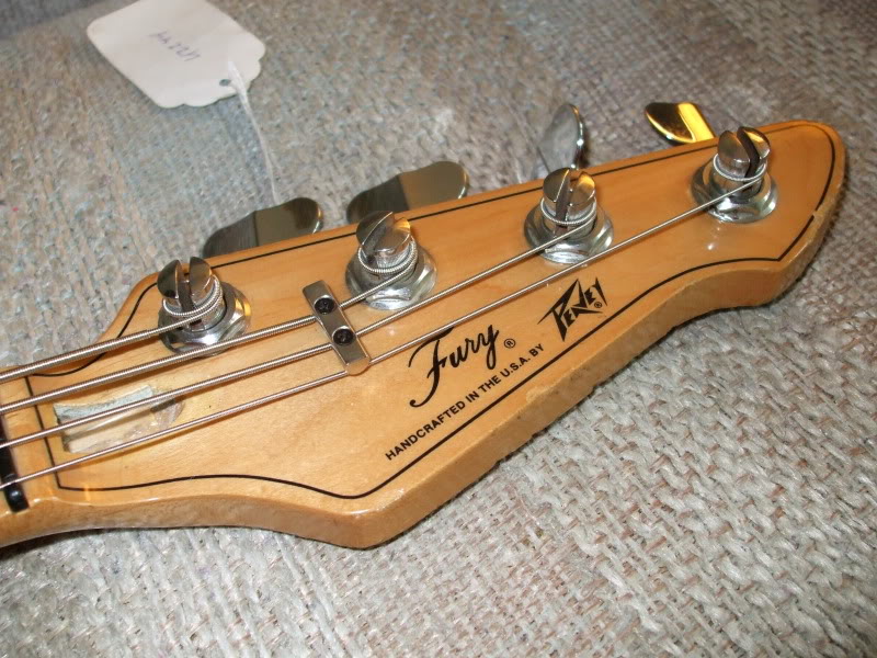 PeaveyFury002.jpg
