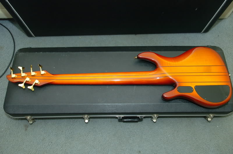 PeaveyTL6005.jpg