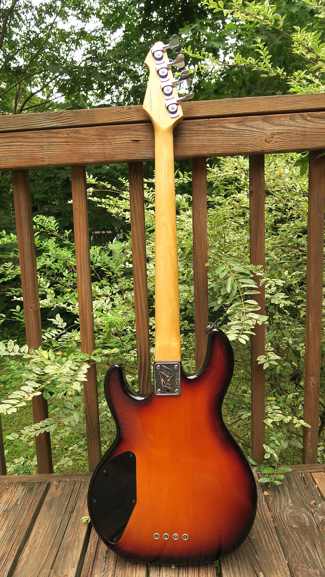 peavy T-45 back.jpg