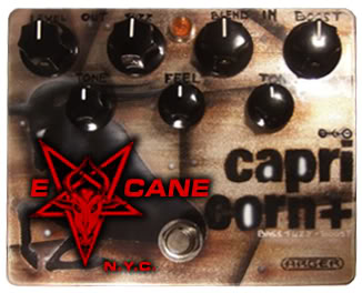 Pedal_comp1.jpg