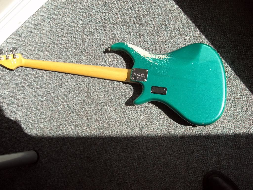 PEDULLA3.jpg