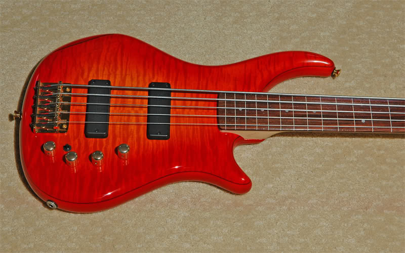 PedullaBody02W.jpg