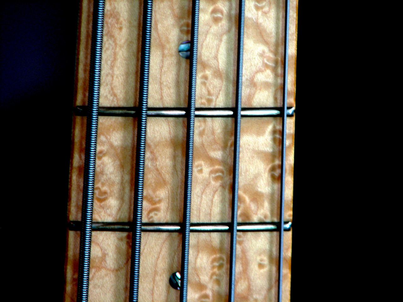 PedullaFingerboardPop1Small.png