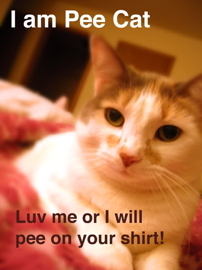 PeeCat.jpg