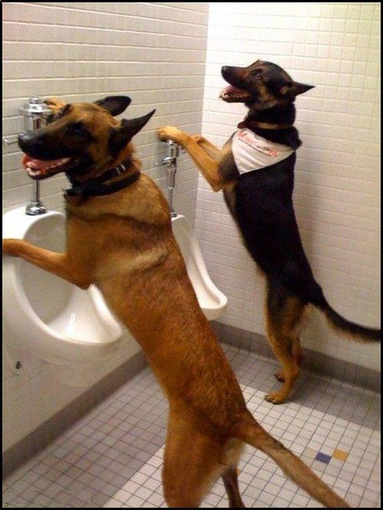 Peeing-in-Every-Corner-328.jpg