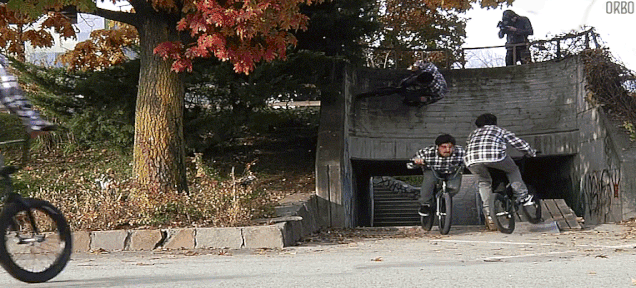 pelham bikes.gif