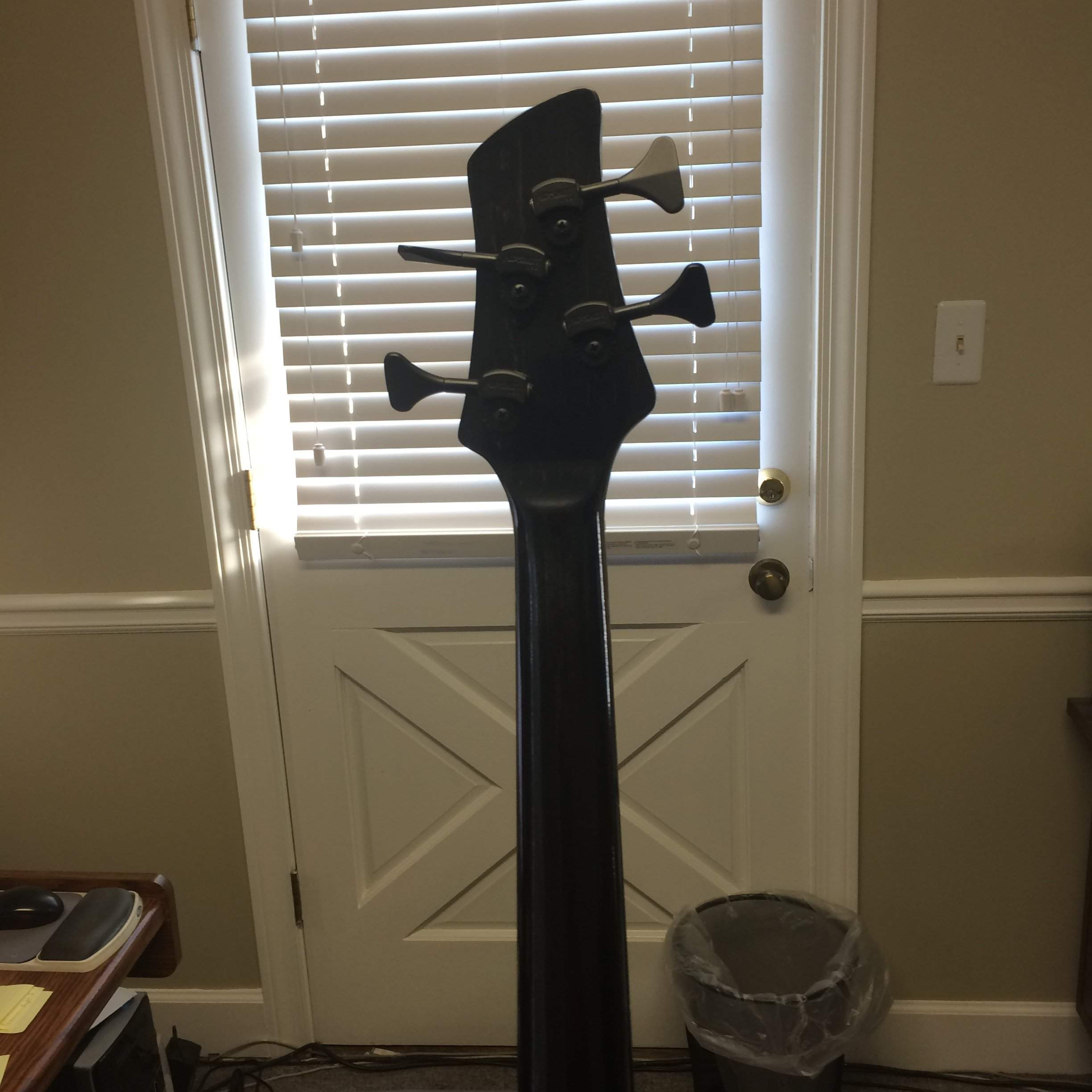 Pelican 6.JPG