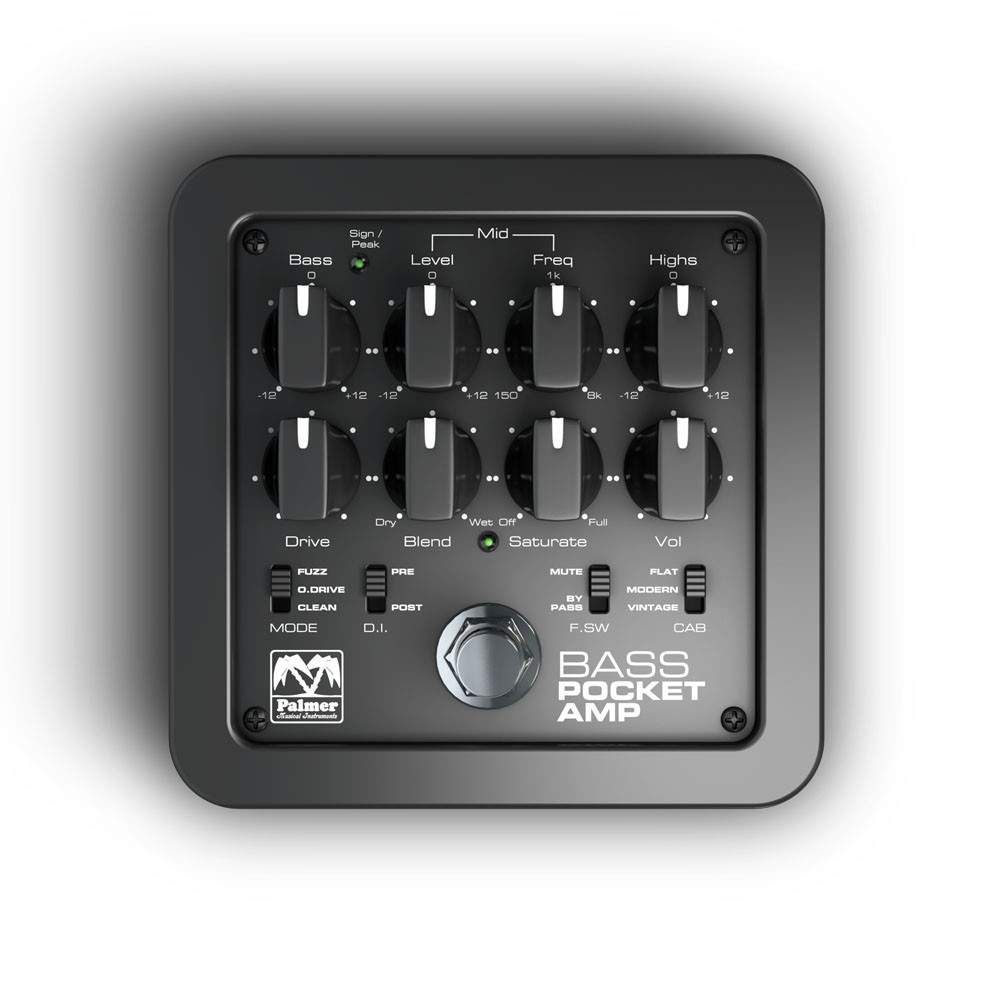 PEPAMPBASS_3.jpg
