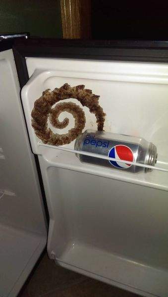 pepsi spiral.jpg