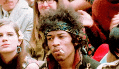 PerfectOfficialIbex-max-1mb.gif
