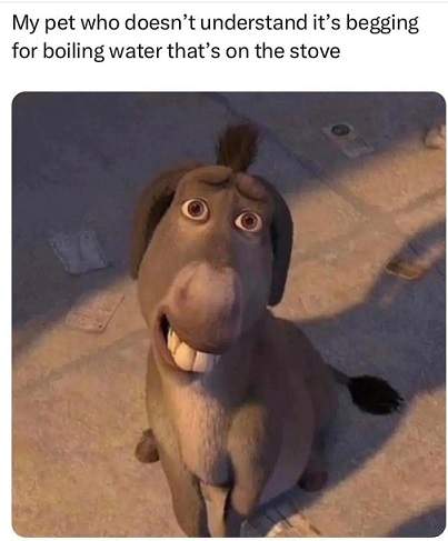 pet begging.jpg