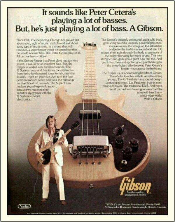 Peter Cetera_ Gibson Bass Ad.jpeg