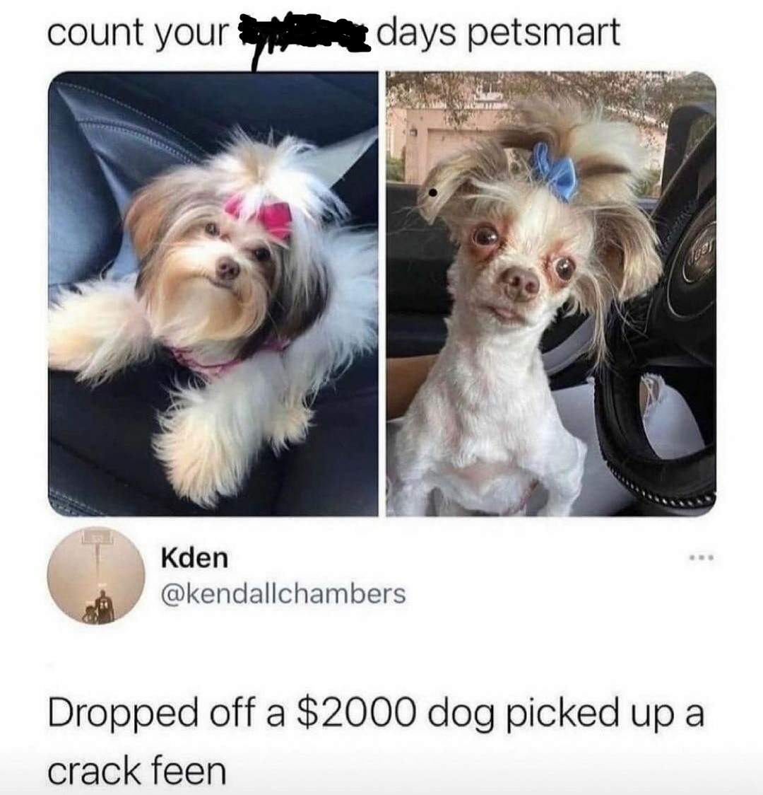 petsmart.jpg