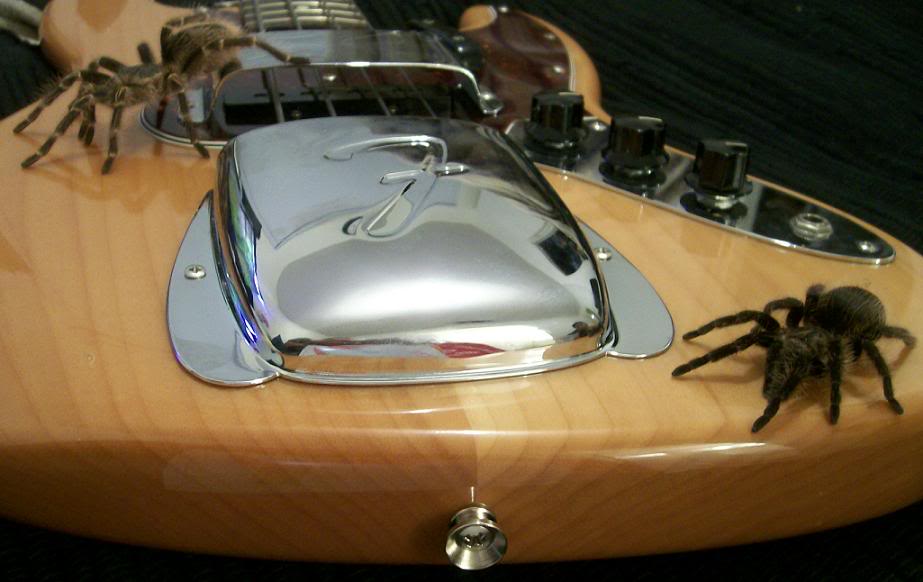 PETSONBASS037.jpg