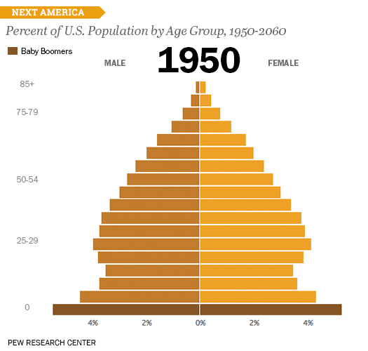 pew-age-distribution.gif