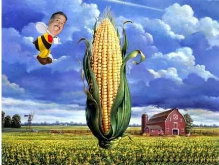 phalexcornbee.jpg