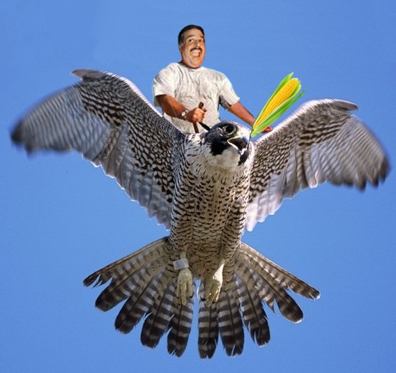 phalexfalcon_zpsb808e027.jpg