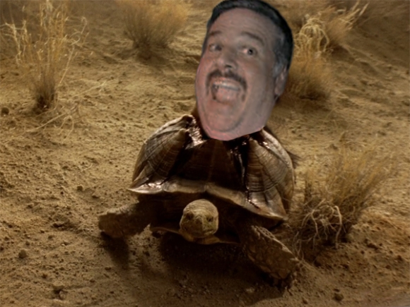 PhalexTortuga.jpg