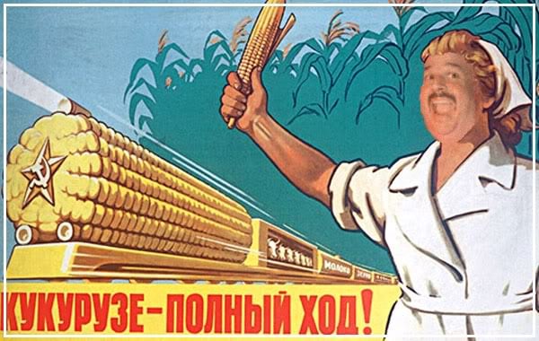 phalexussrcorn.jpg