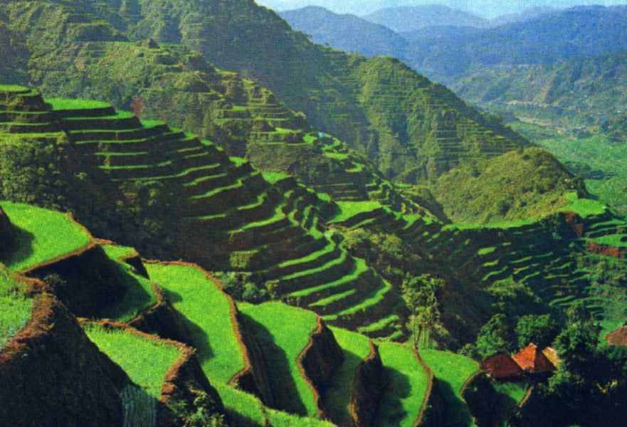 Philippines_Banaue.jpg