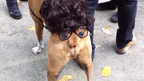 photo.gif
