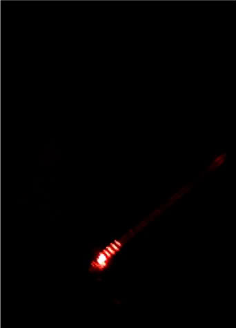 Photo42.jpg