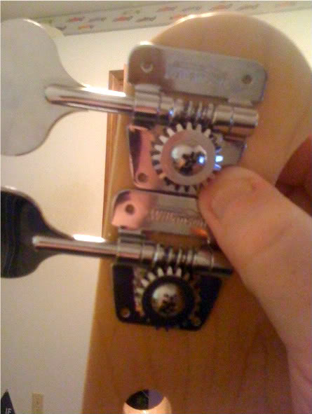 photo7.jpg