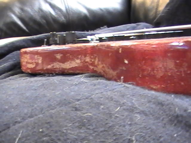 PIC_0445.jpg