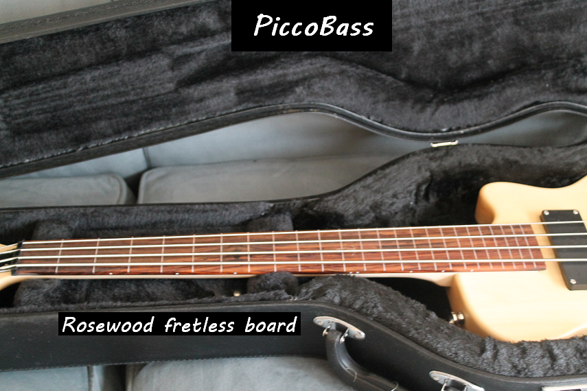 piccofl3.png