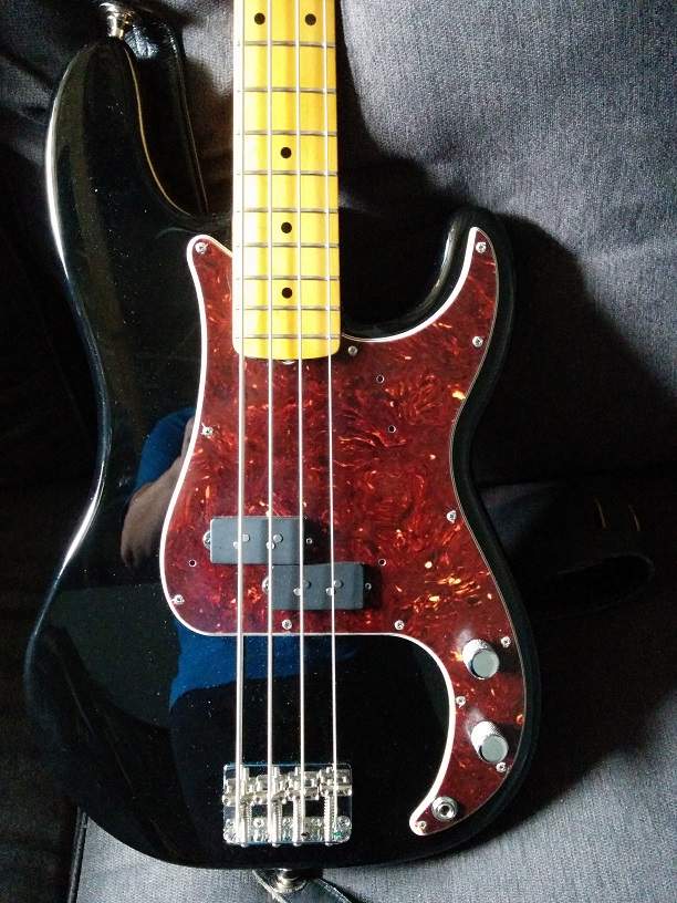pickguard tort.jpg