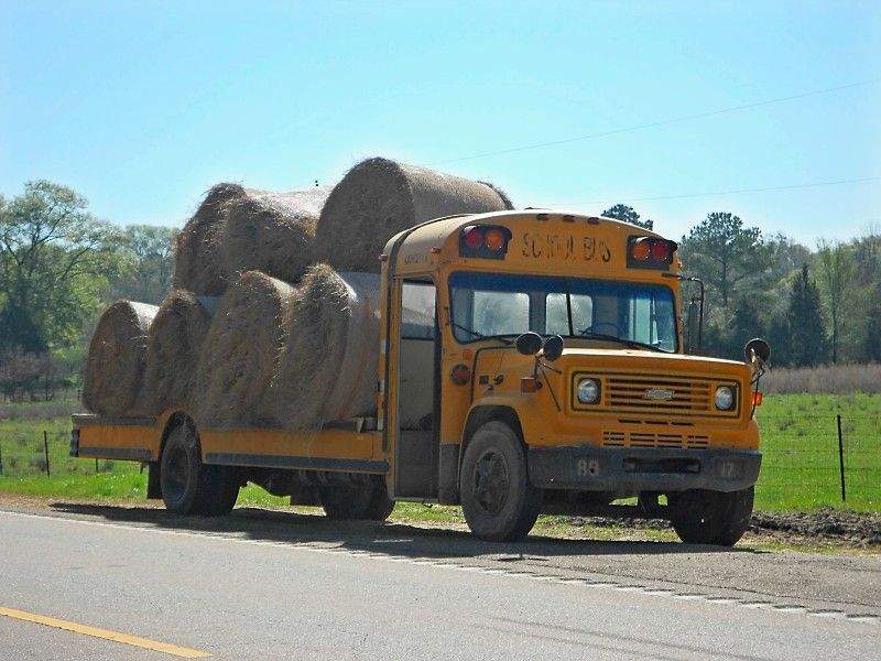 Pickup Bus.jpg