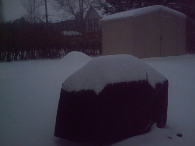 PICT0005.jpg
