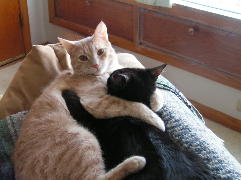 PICT0295.jpg
