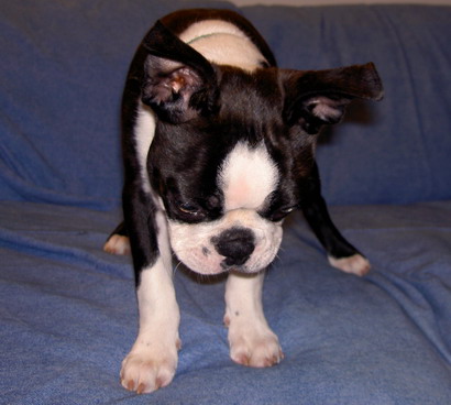 PICT0392.jpg