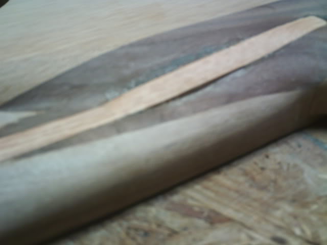 PICT0661.jpg