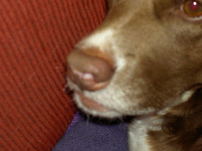 PICT1253.jpg