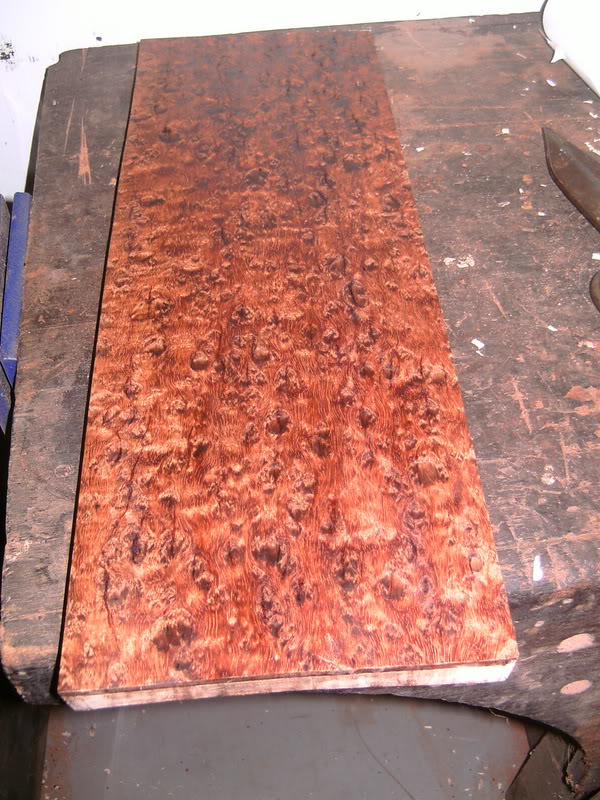 PICT1583.jpg