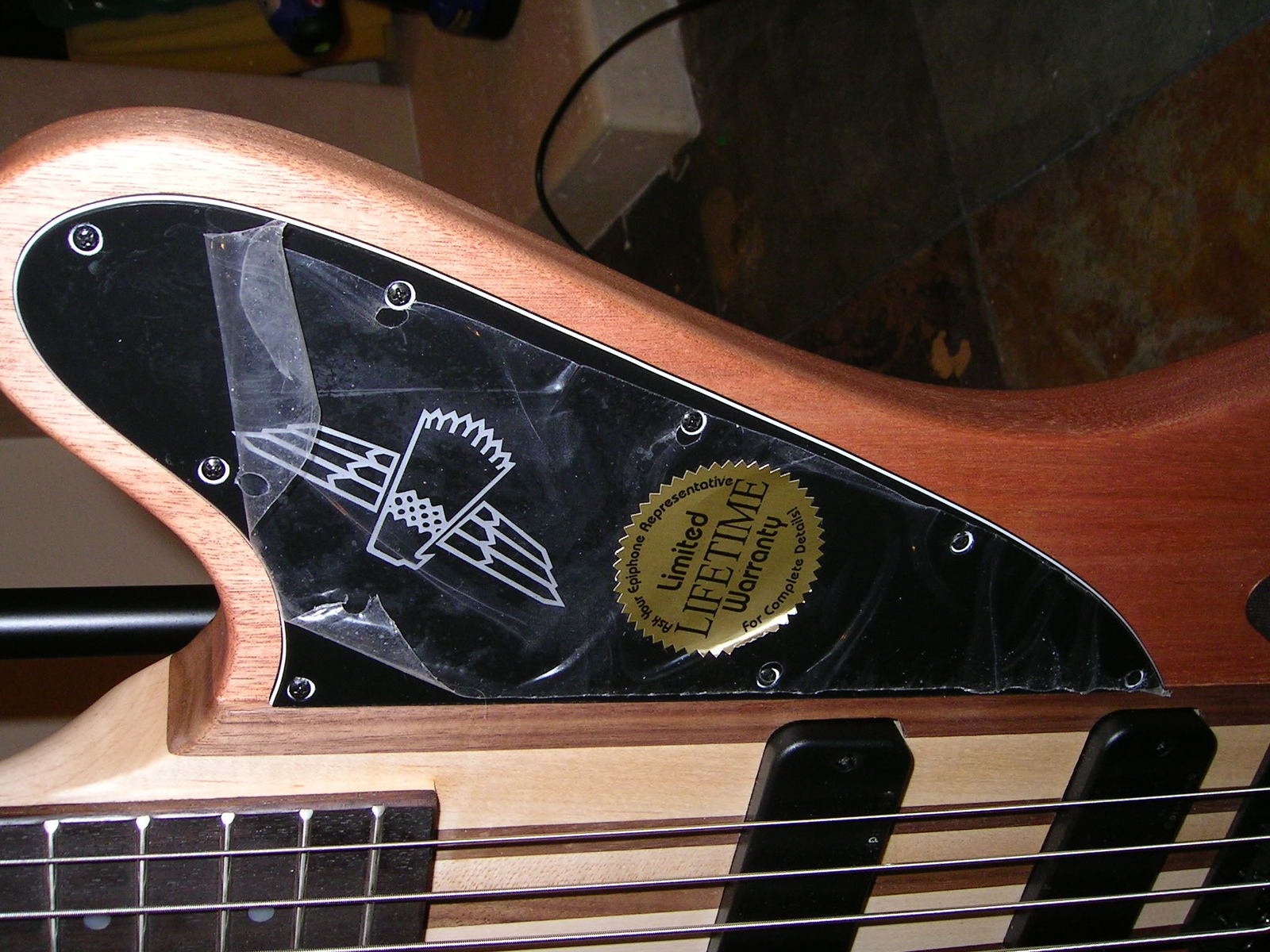 PICT5405.jpg