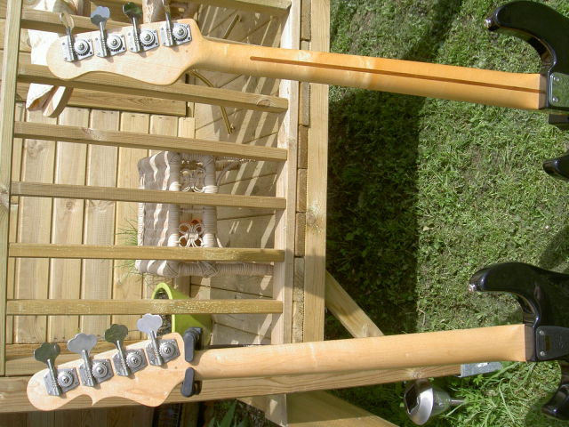 PICT8859.jpg