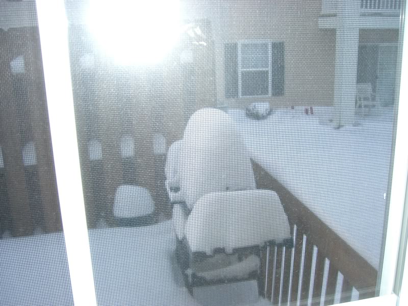 Picture002.jpg