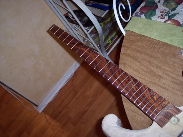 Picture004.jpg