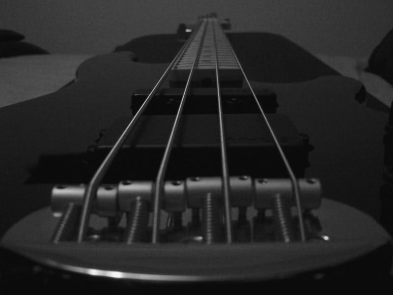 Picture005.jpg