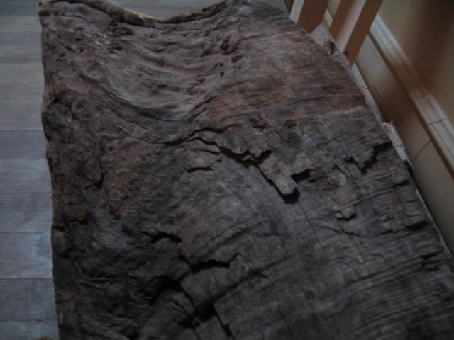 Picture037.jpg