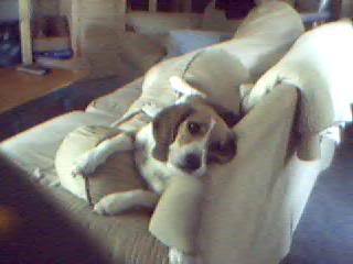 Picture049.jpg
