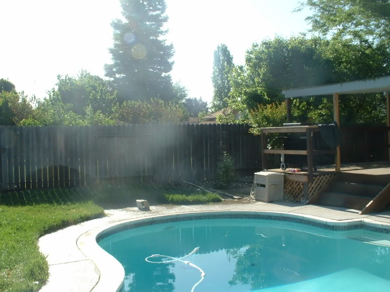 Picture124.jpg