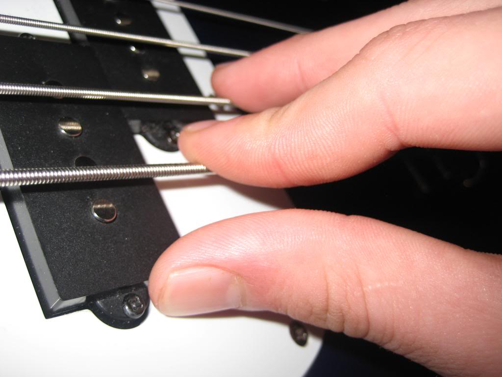 Picture140.jpg